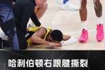 😭总决赛抢七遗憾伤退🙏Shams：哈利伯顿遭遇右跟腱撕裂！