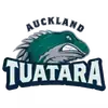 奥克兰鳄蜥