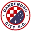 丹德农市
