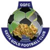 黄金小精灵