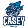 凯西骑士女篮