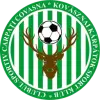 科瓦斯纳喀尔巴阡体育
